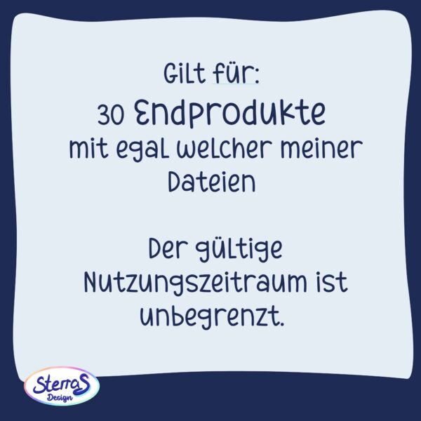 Gewerbelizenz für Einzelstücke "Go30" – Bild 2