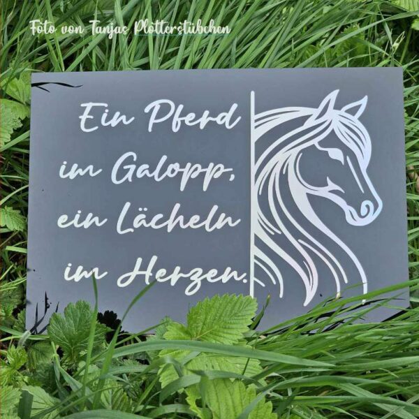 Detailaufnahme der gravierten Schieferplatte mit dem Spruch und Pferdekopf. Die Gravur hebt sich kontrastreich vom Schiefer ab.
