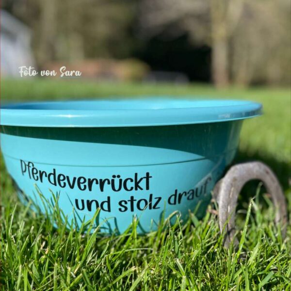 Hellblauer Napf mit geplottetem Text „Pferdeverrückt und stolz drauf“. Fotografiert im Freien auf grünem Rasen. Praktische Anwendungsidee für Reitbegeisterte.