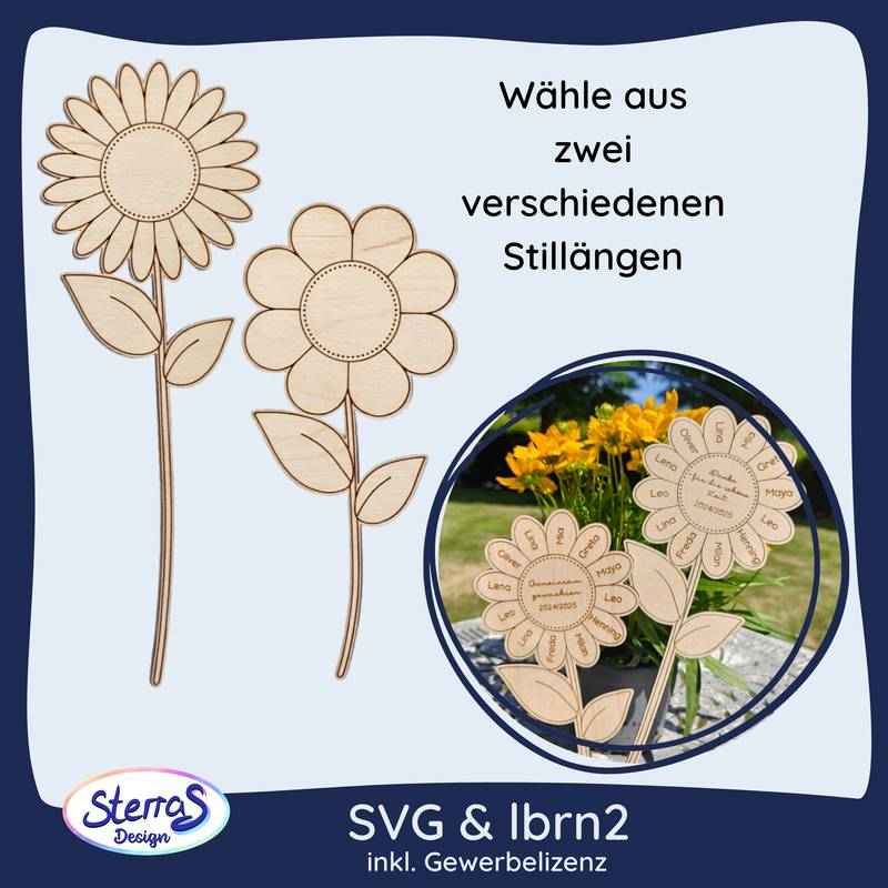 Grafik zeigt zwei Stängellängen der Laserdatei-Blume im Vergleich.